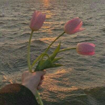 乐发app下载安装